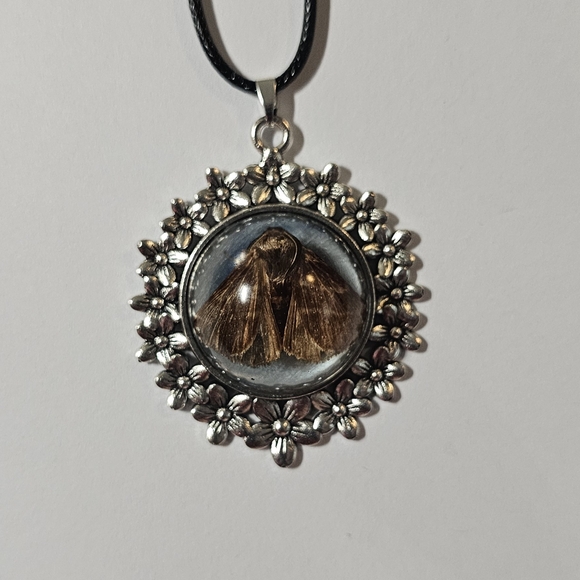 Real Moth Necklace - Picture 1 of 4